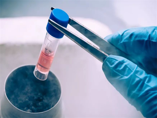 海外试管婴儿目的地大比拼：中国家庭首选国家揭晓